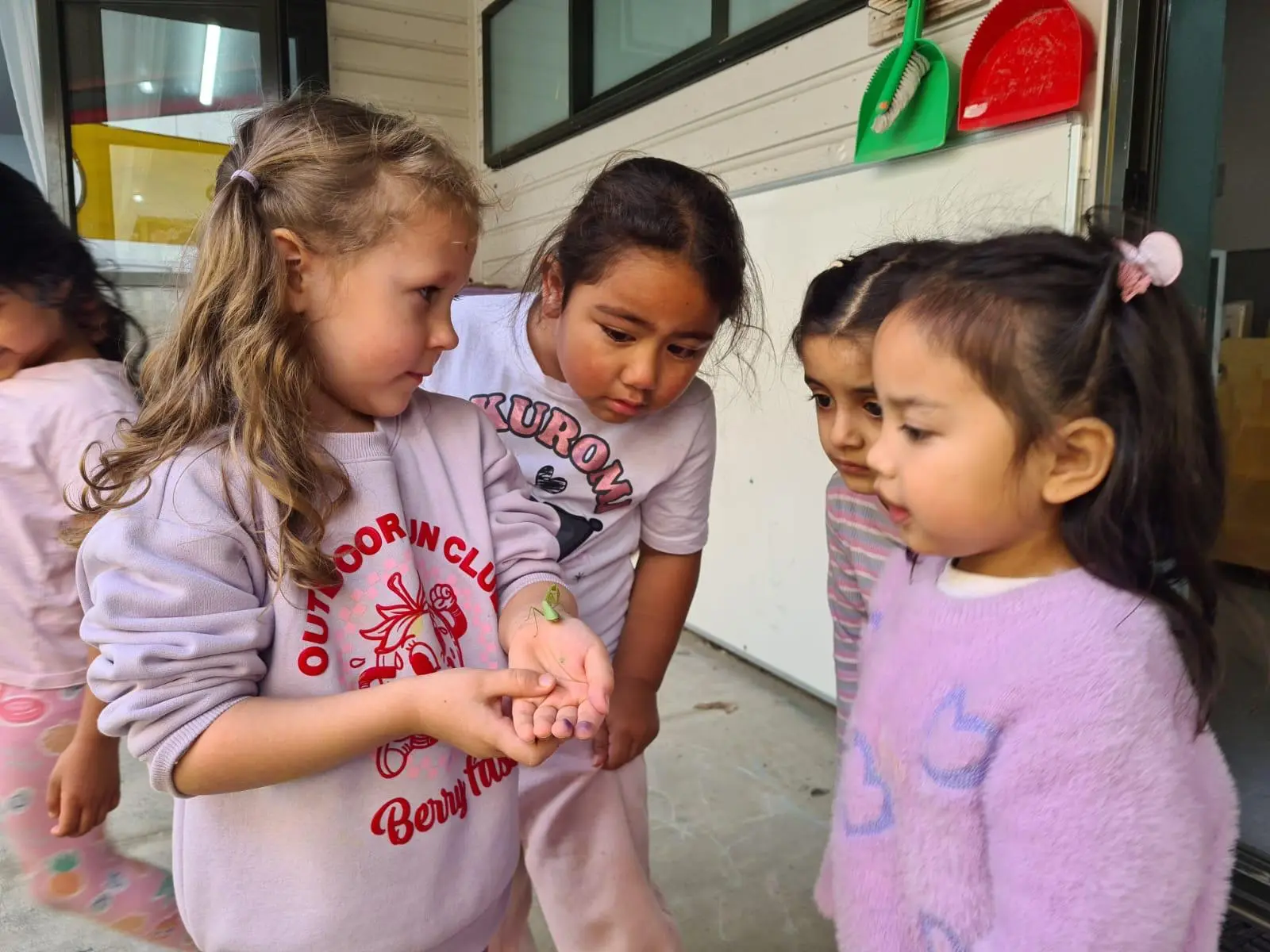 Children at Paramount Grove carefully watching a praying mantis resting on a child's hand.