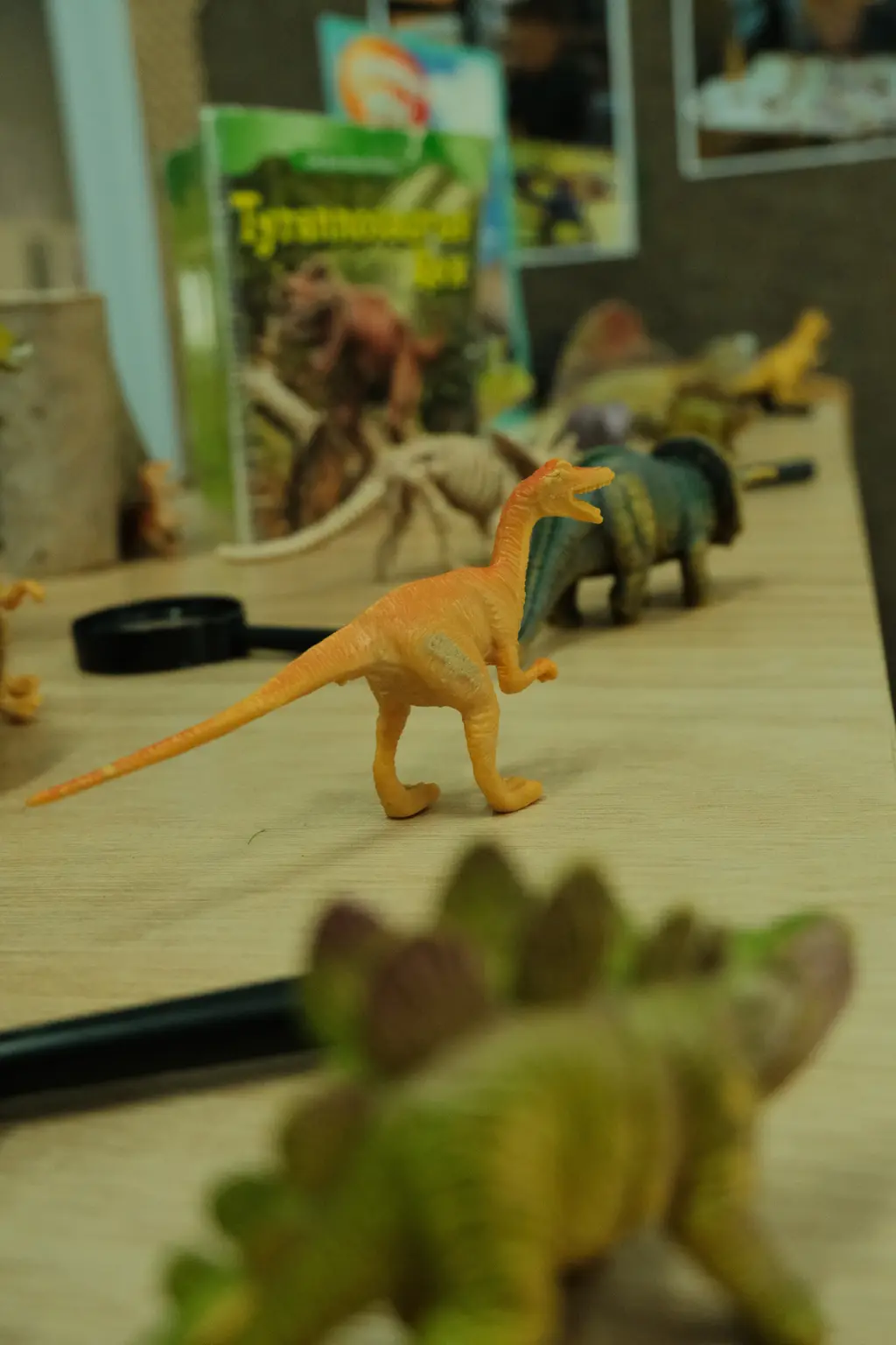 Preschool Rooms, photo 4